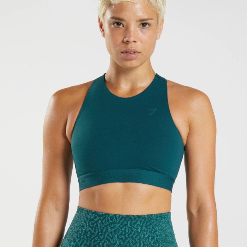 Gymshark 315 Performance High Neck Sports Bra